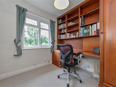 Picture 15